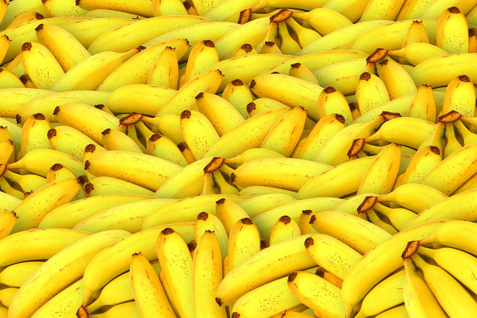 benefits of green bananas, what are the benefits of bananas, health benefits of eating bananas, what are the benefits of green bananas, health benefits of green bananas,